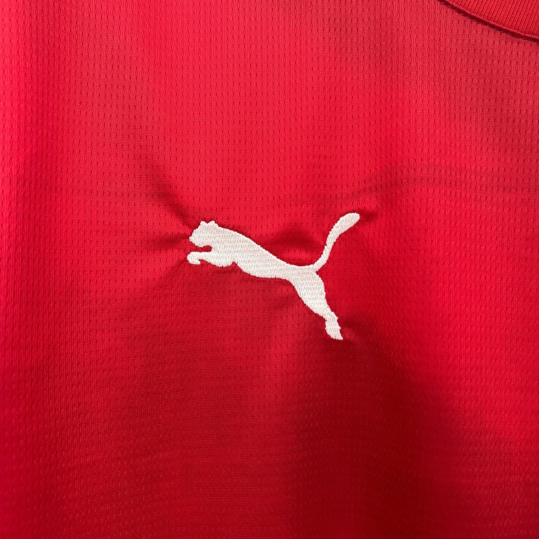 Camisa Seleção da Sérvia Home 24/25 Torcedor Puma Masculina - Vermelha