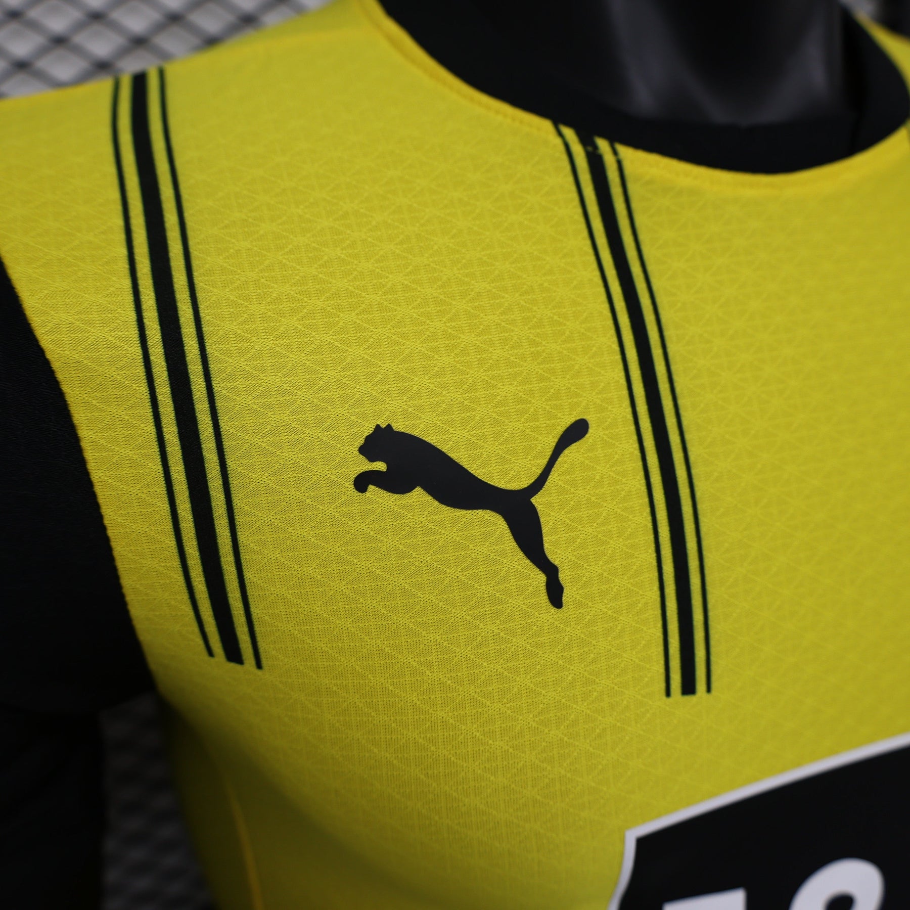 Camisa do Borussia Dortmund Home 24/25 Jogador