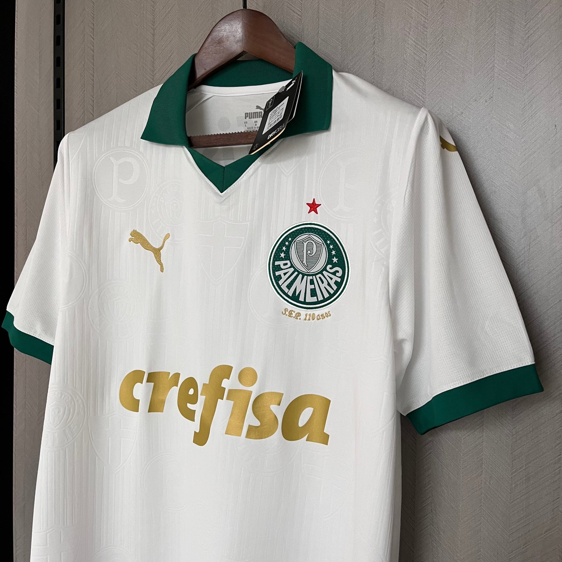 Camisa Palmeiras II 24/25 Puma
