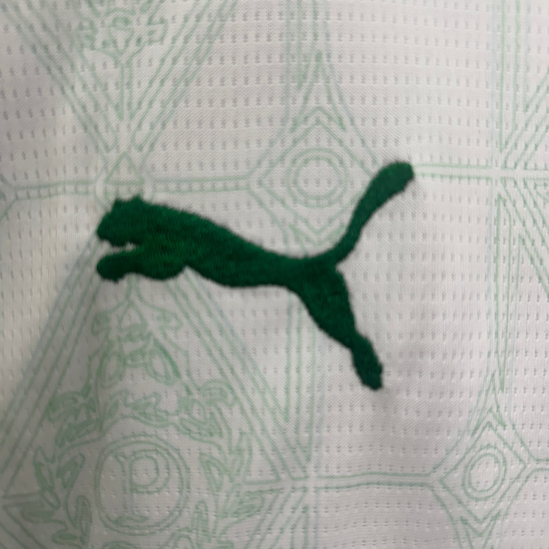 Kit Infantil Palmeiras Il 25/26