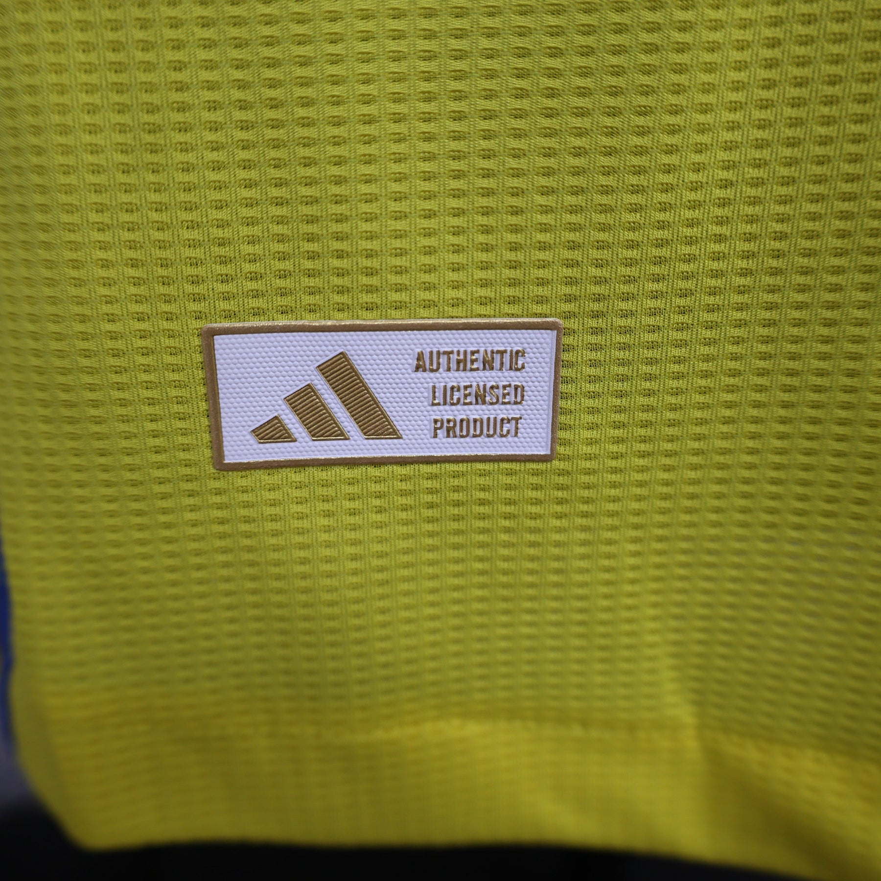 Camisa do Al Nassr Home 24/25 Jogador