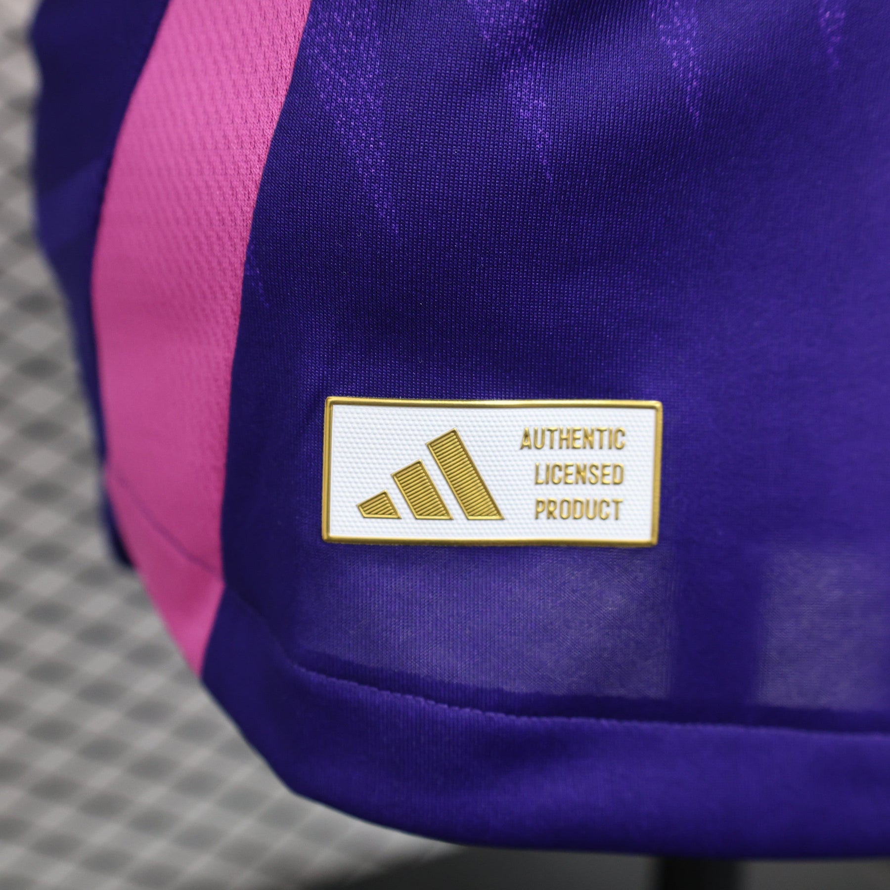 Camisa da Alemanha Away 24/25 Jogador