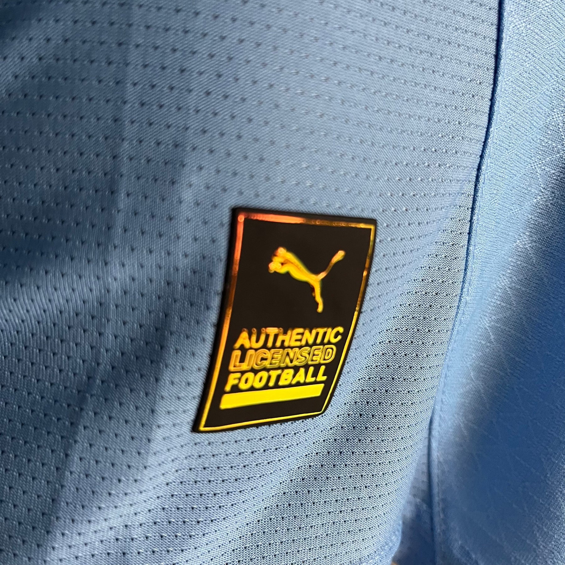 Manga longa Manchester City Home 24/25 Modelo Jogador