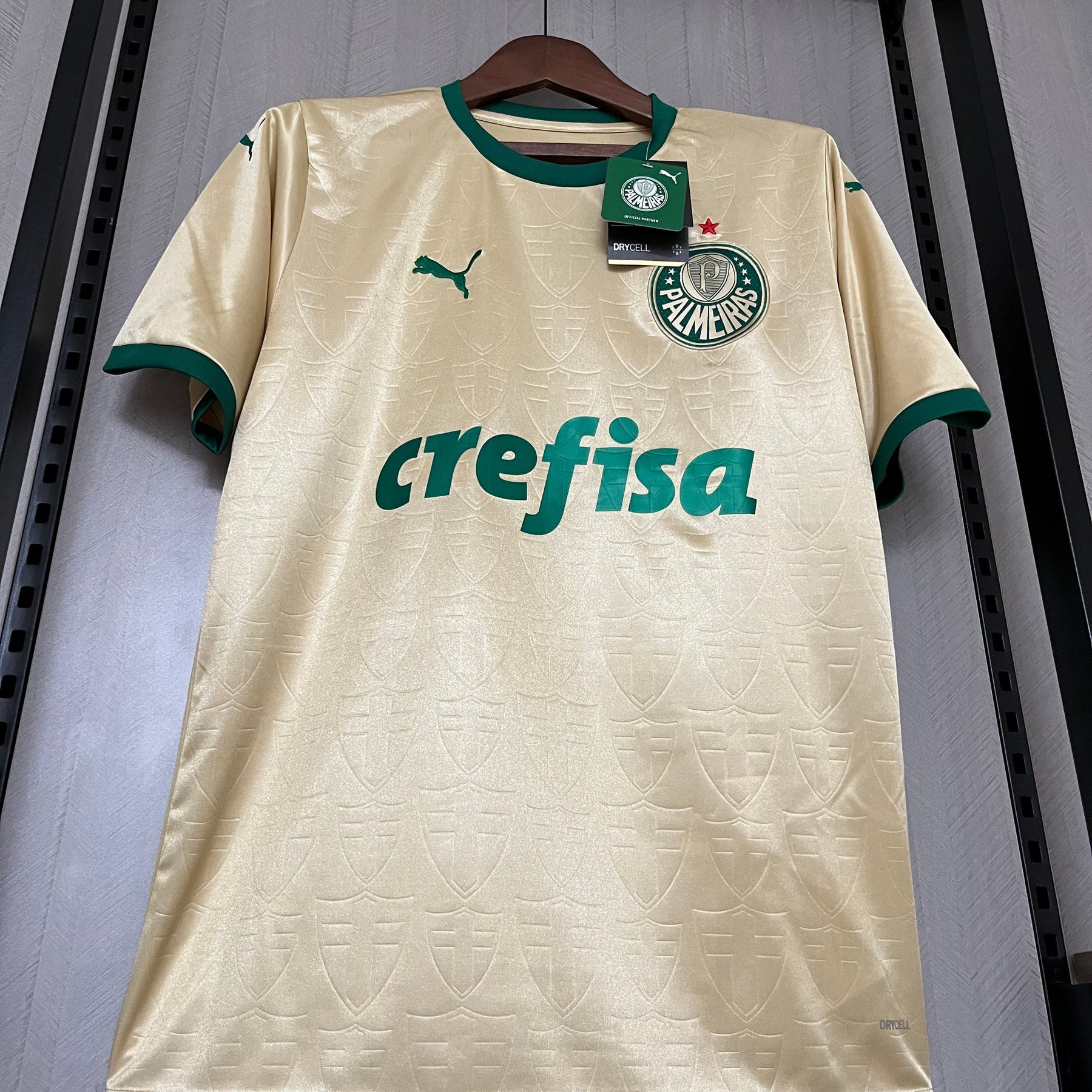 Camisa Palmeiras Torcedor Third 24/25