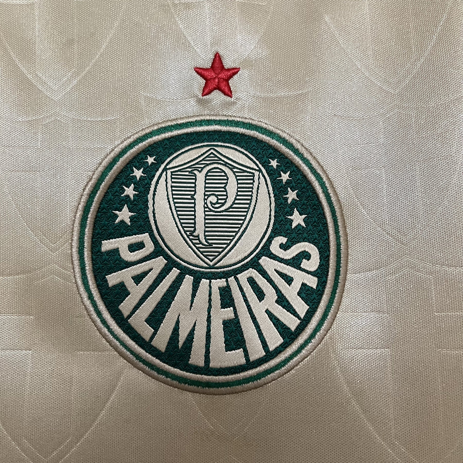 Camisa Palmeiras Torcedor Third 24/25