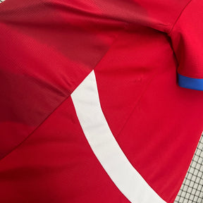 Camisa Seleção da Sérvia Home 24/25 Torcedor Puma Masculina - Vermelha