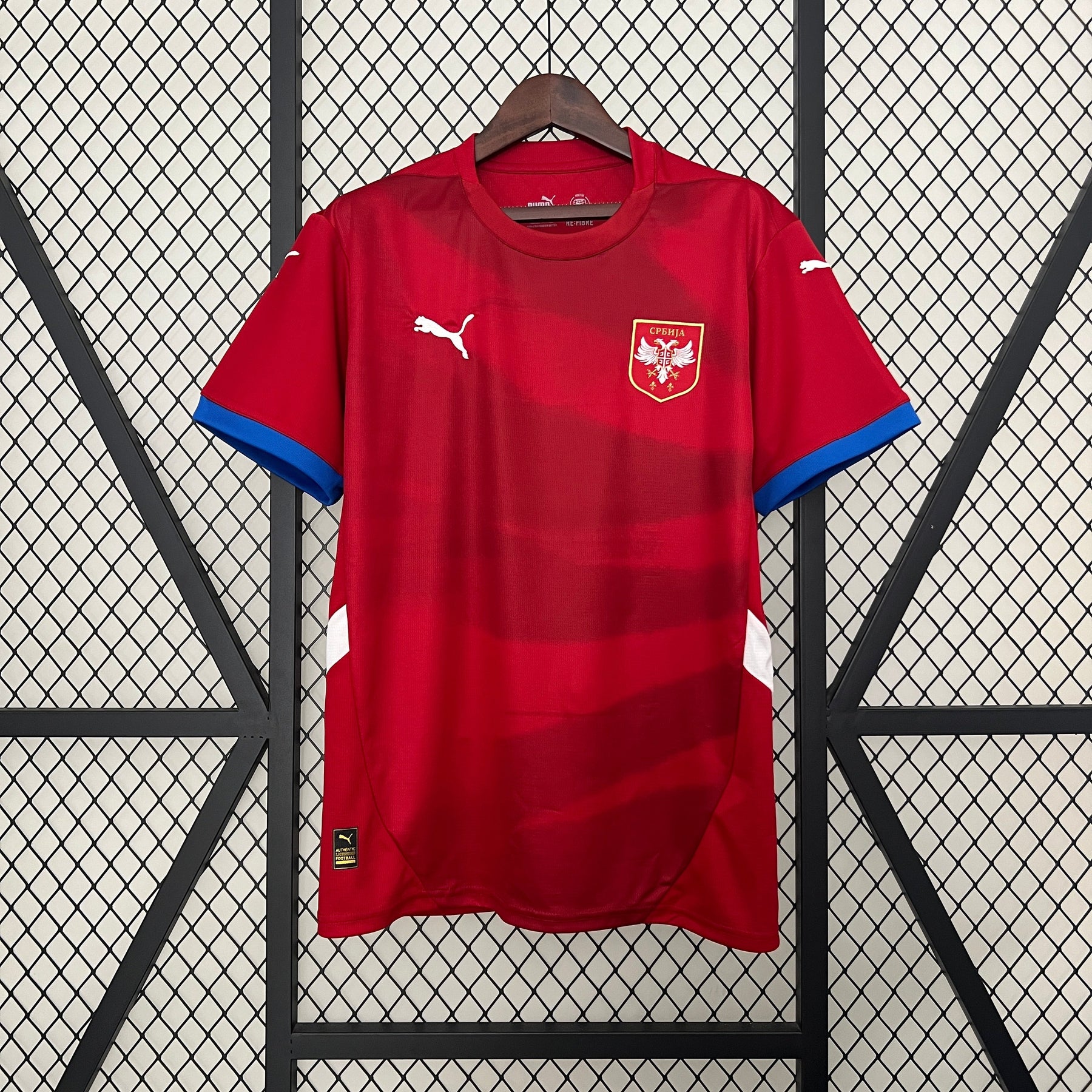 Camisa Seleção da Sérvia Home 24/25 Torcedor Puma Masculina - Vermelha