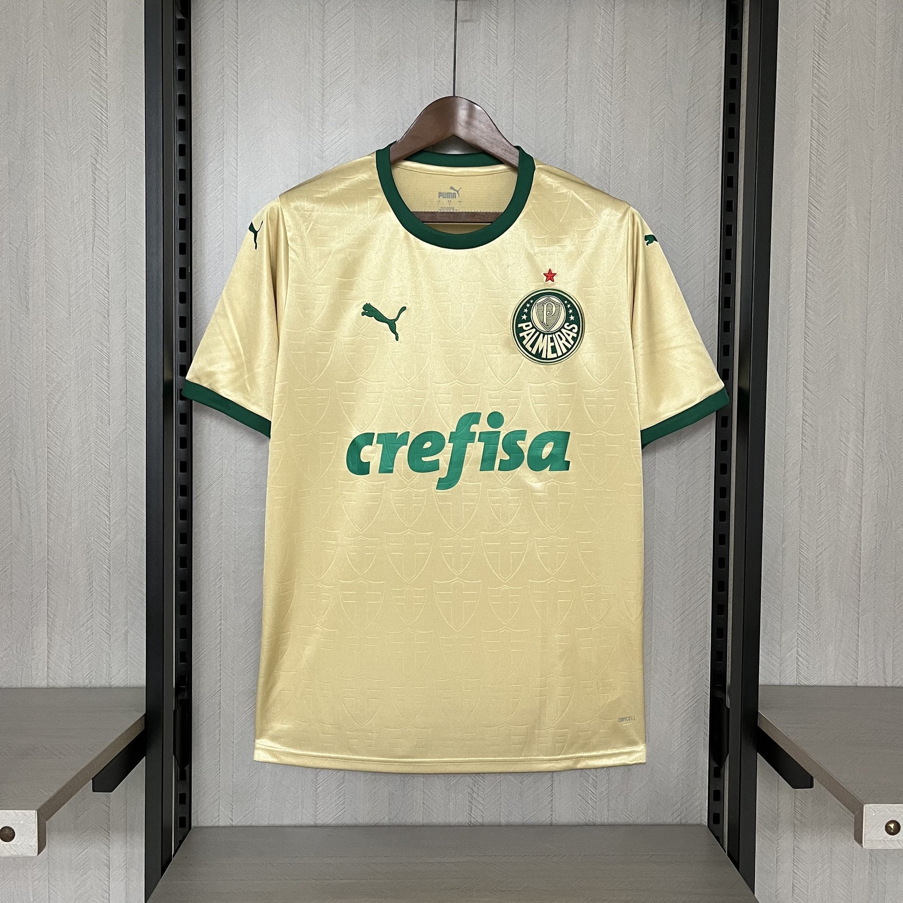 Camisa Palmeiras Torcedor Third 24/25