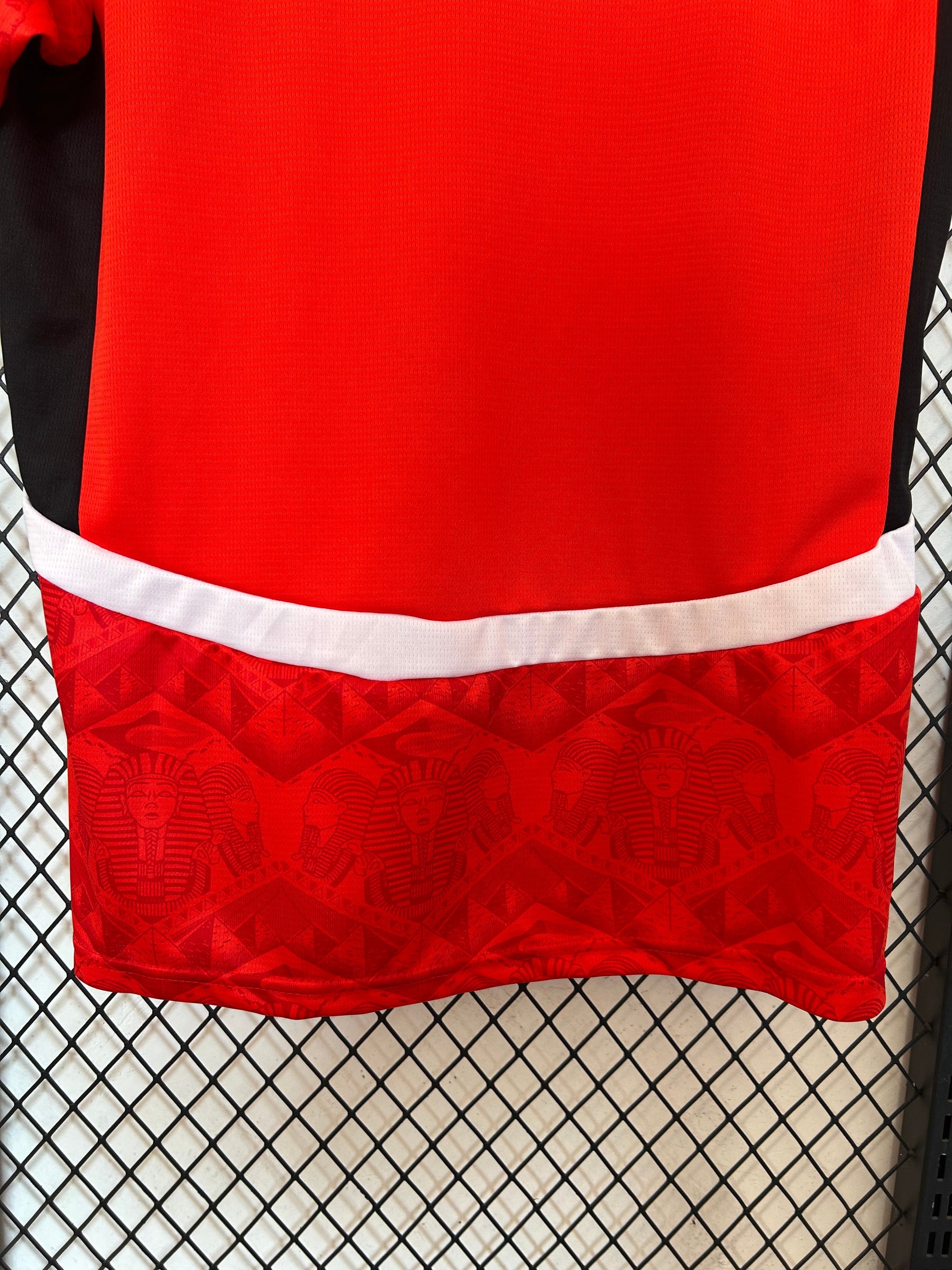 Camisa Seleção do Egito Home 25/26 Torcedor Puma Masculina - Vermelha