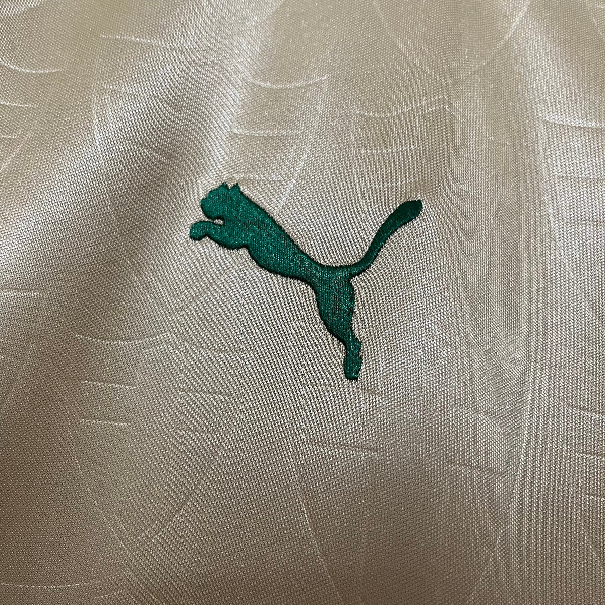 Camisa Palmeiras Torcedor Third 24/25