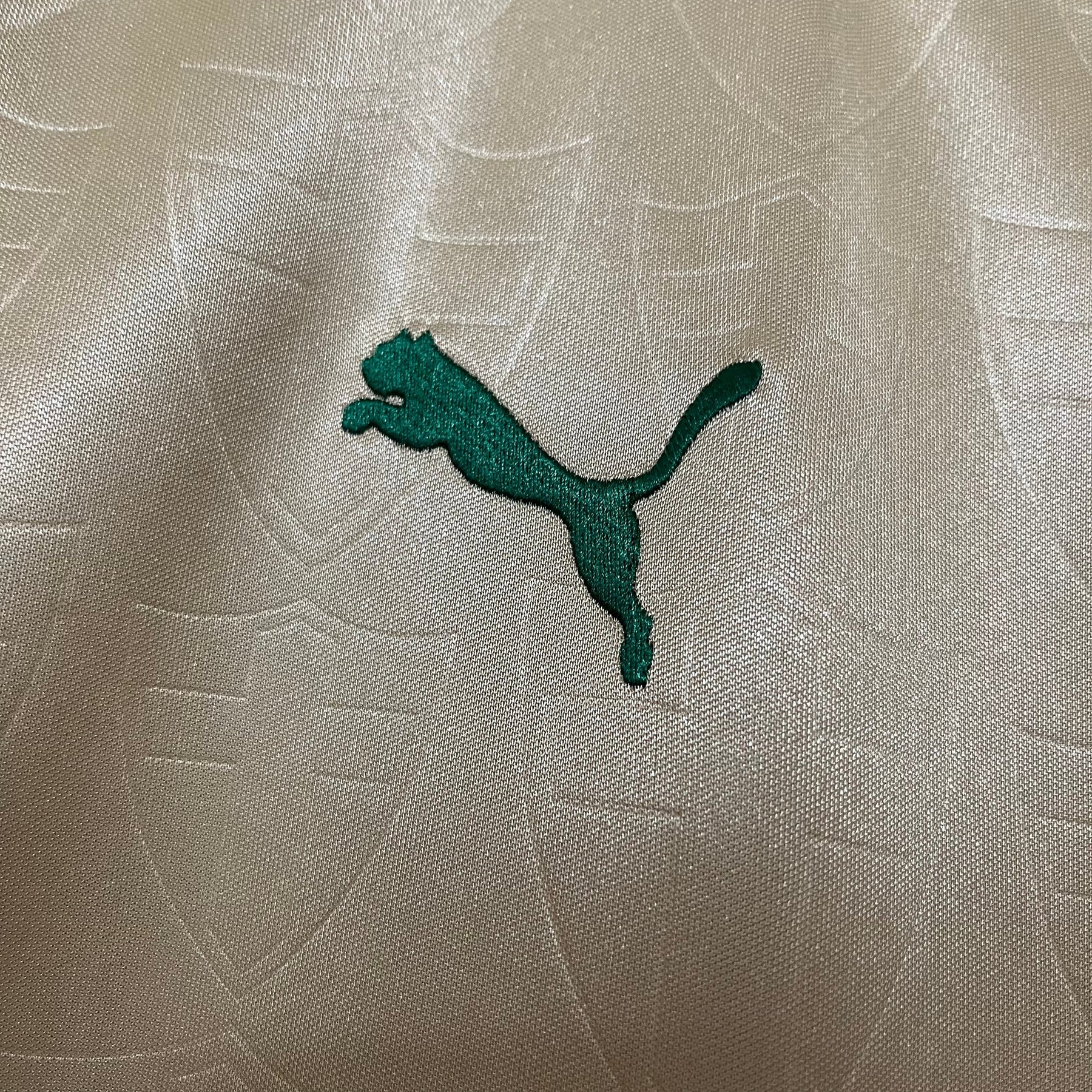 Camisa Palmeiras Torcedor Third 24/25