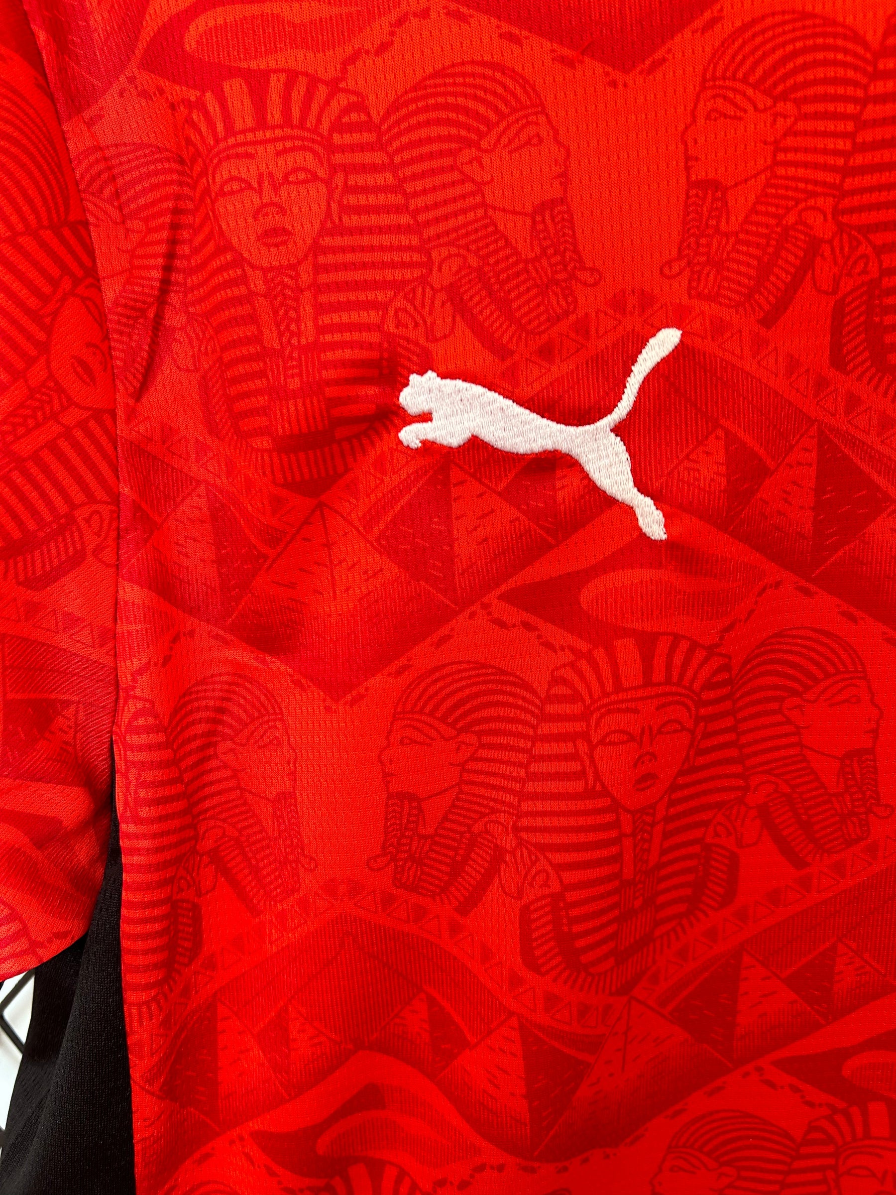 Camisa Seleção do Egito Home 25/26 Torcedor Puma Masculina - Vermelha