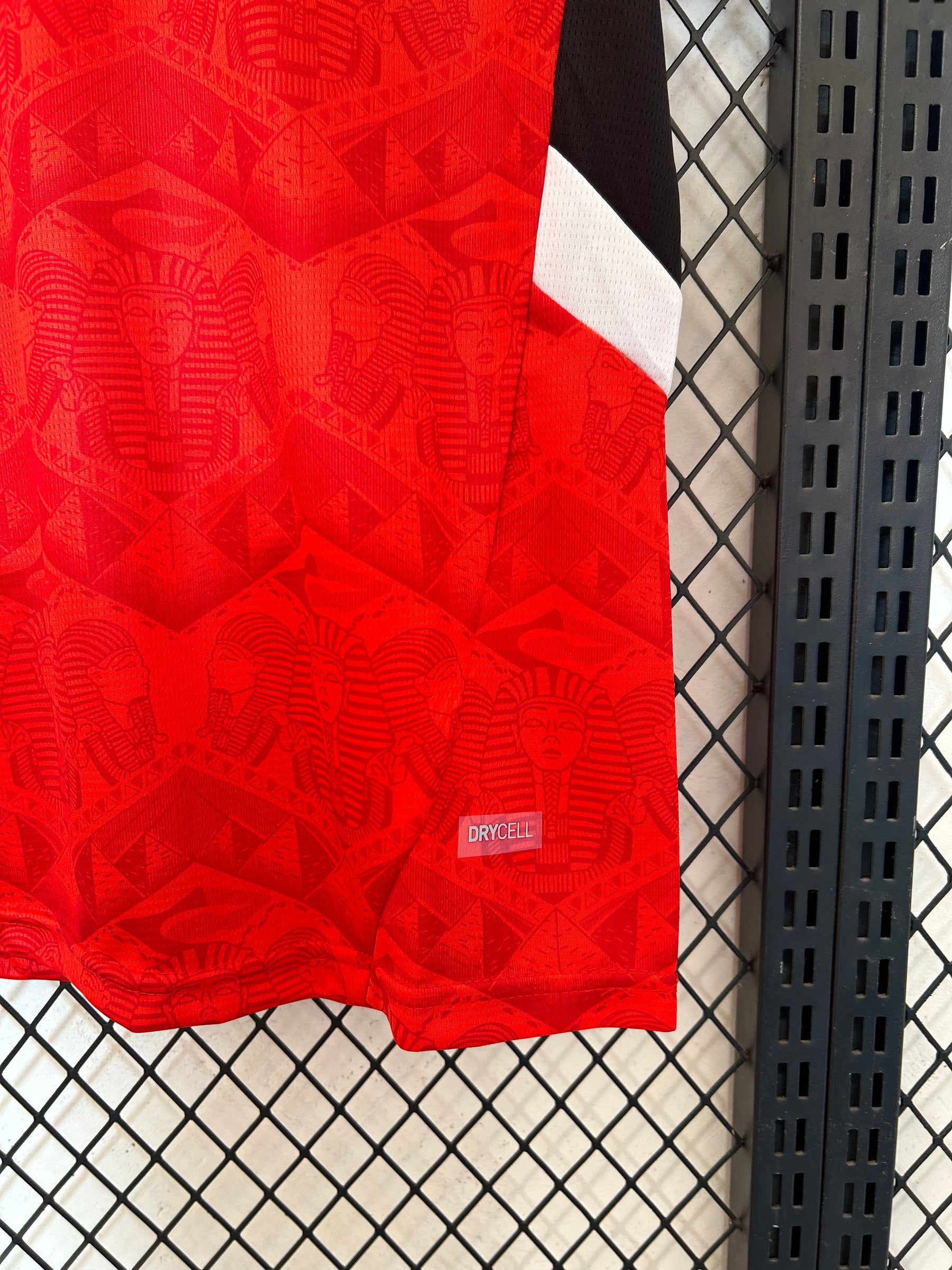 Camisa Seleção do Egito Home 25/26 Torcedor Puma Masculina - Vermelha