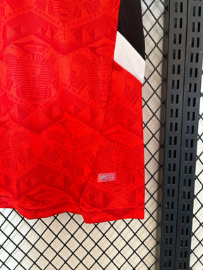Camisa Seleção do Egito Home 25/26 Torcedor Puma Masculina - Vermelha