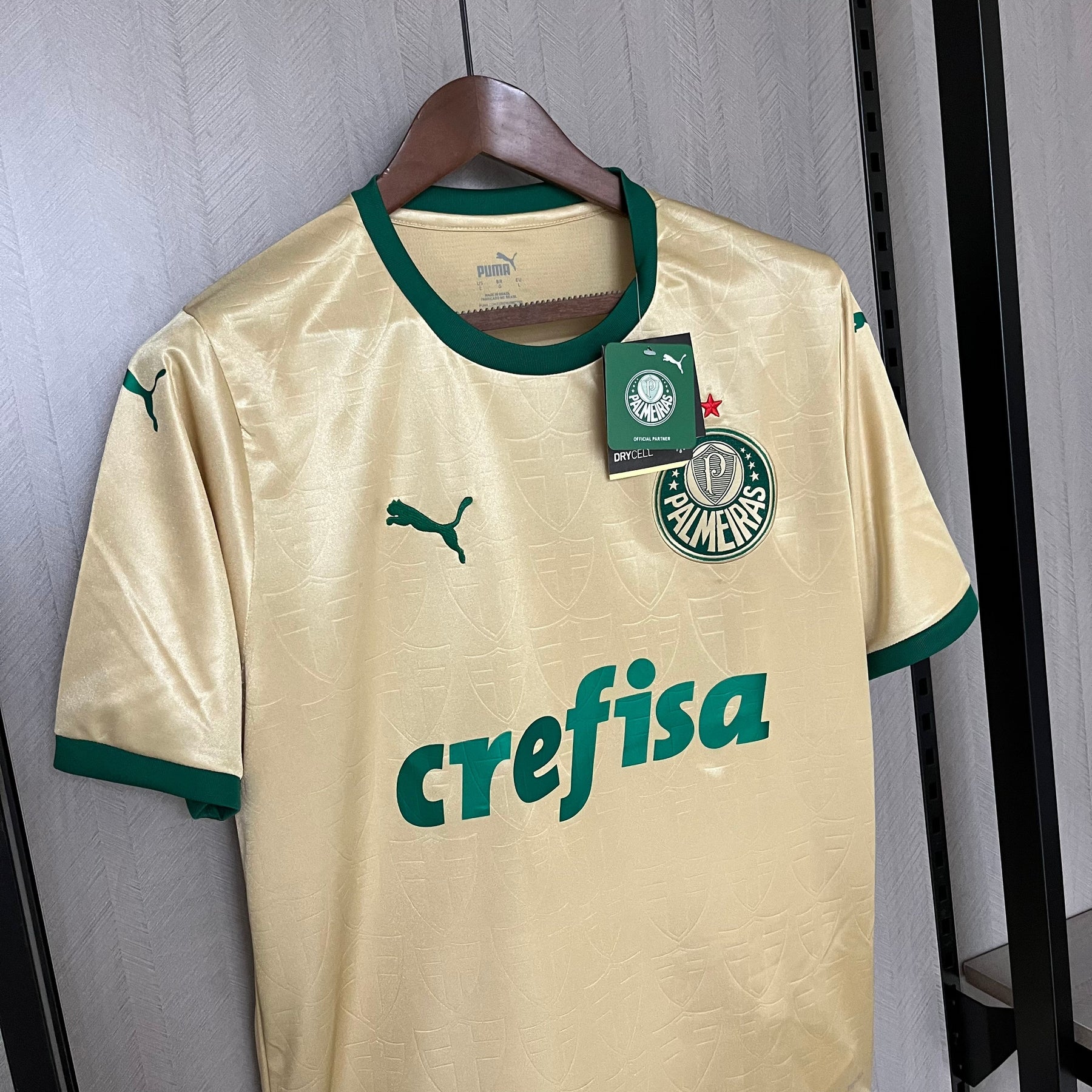 Camisa Palmeiras Torcedor Third 24/25