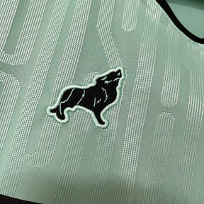 Camisa 2 Paysandu 24/25 Lobo Feminina