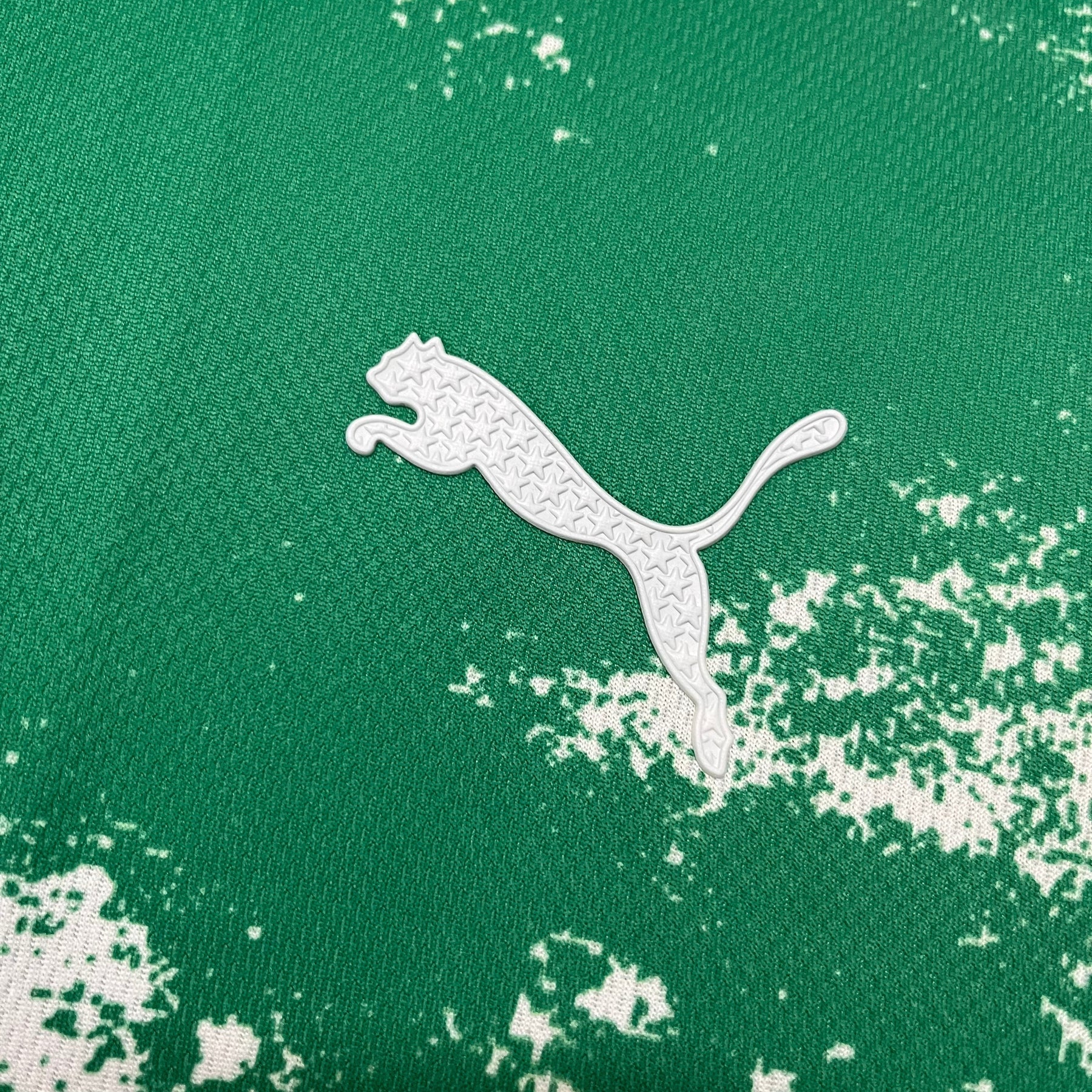 Camisa Palmeiras 24/25  - Verde e Branca