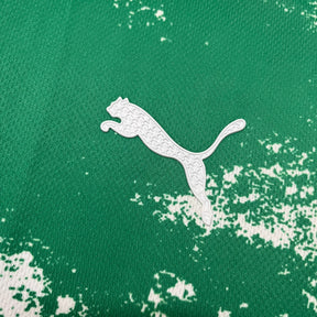 Camisa Palmeiras 24/25  - Verde e Branca