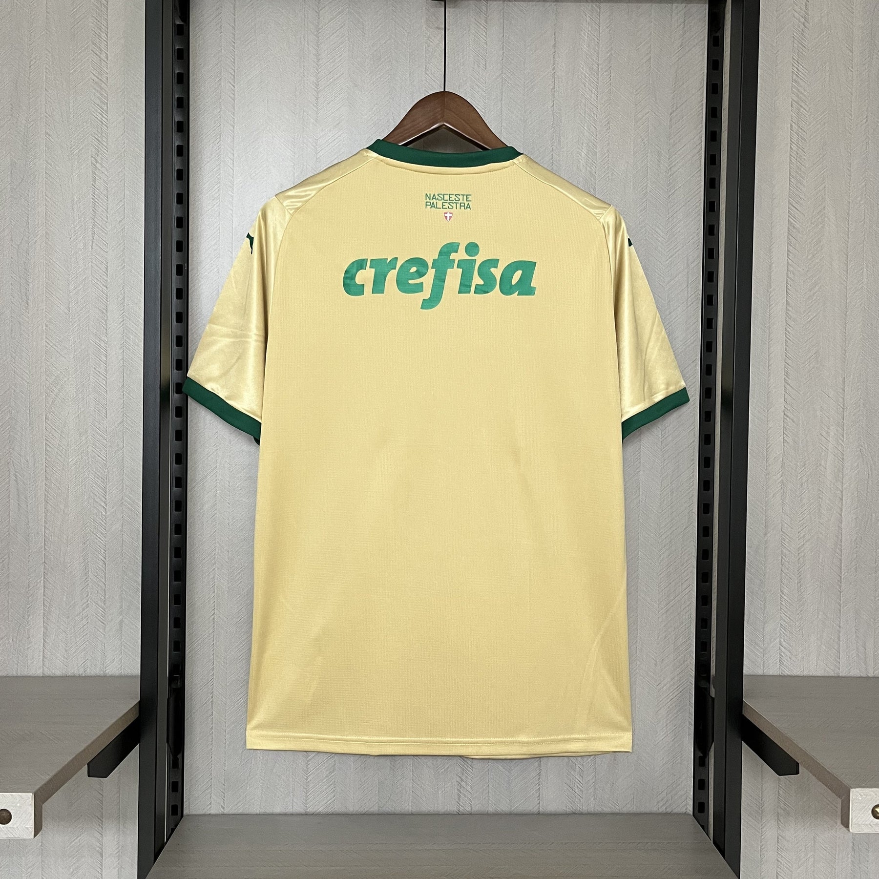 Camisa Palmeiras Torcedor Third 24/25