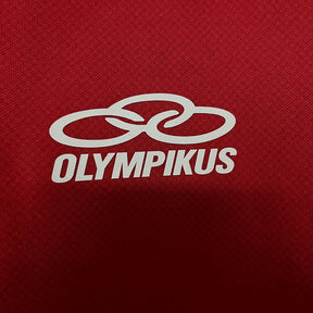 Flamengo Retro 2012 Centenario