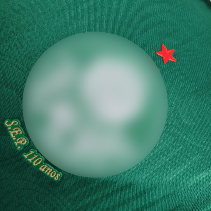 Camisa Palmeiras I 24/25 s/n° Jogador Puma - Verde