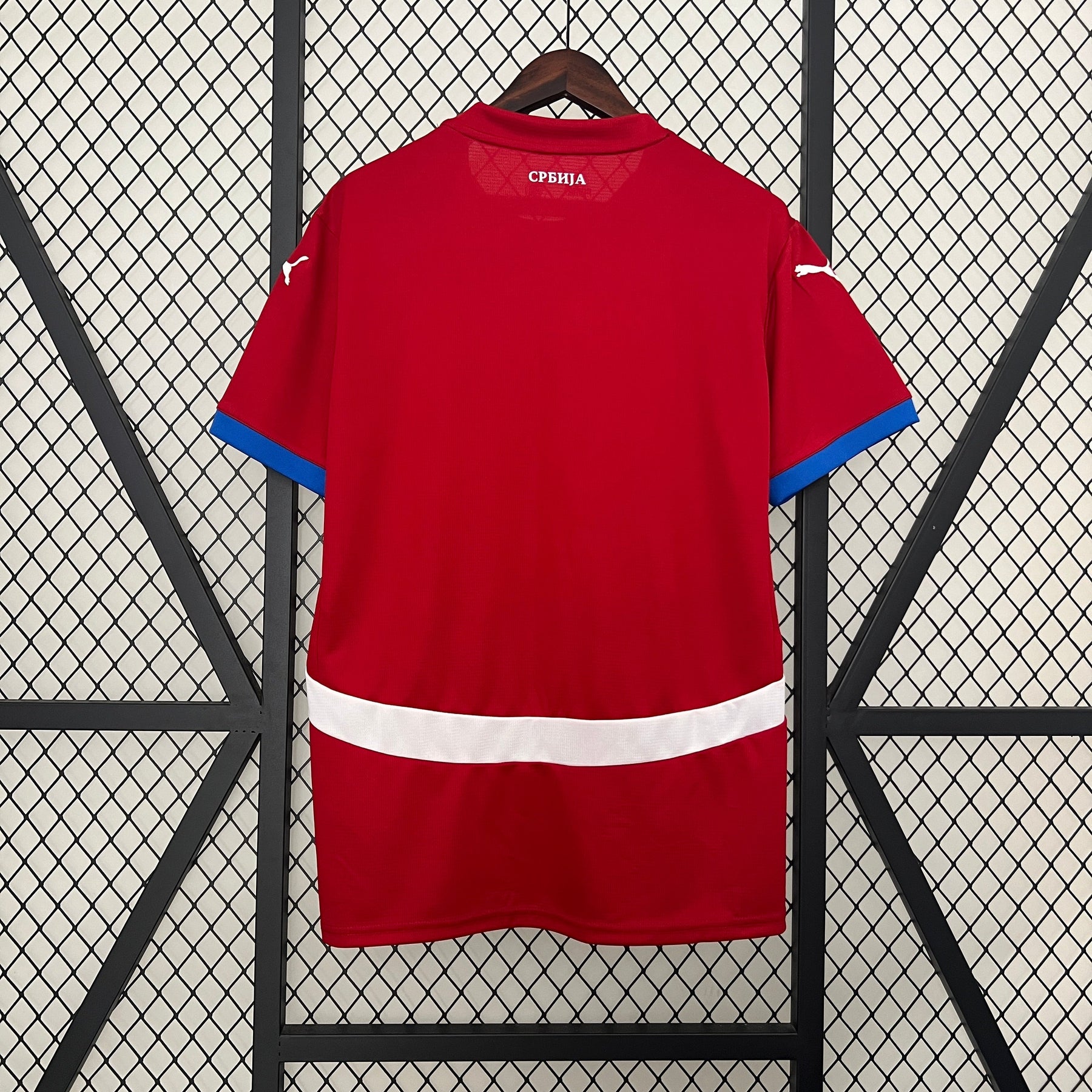 Camisa Seleção da Sérvia Home 24/25 Torcedor Puma Masculina - Vermelha