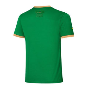Camisa Palmeiras Edição Comemorativa 70 Anos  - Verde