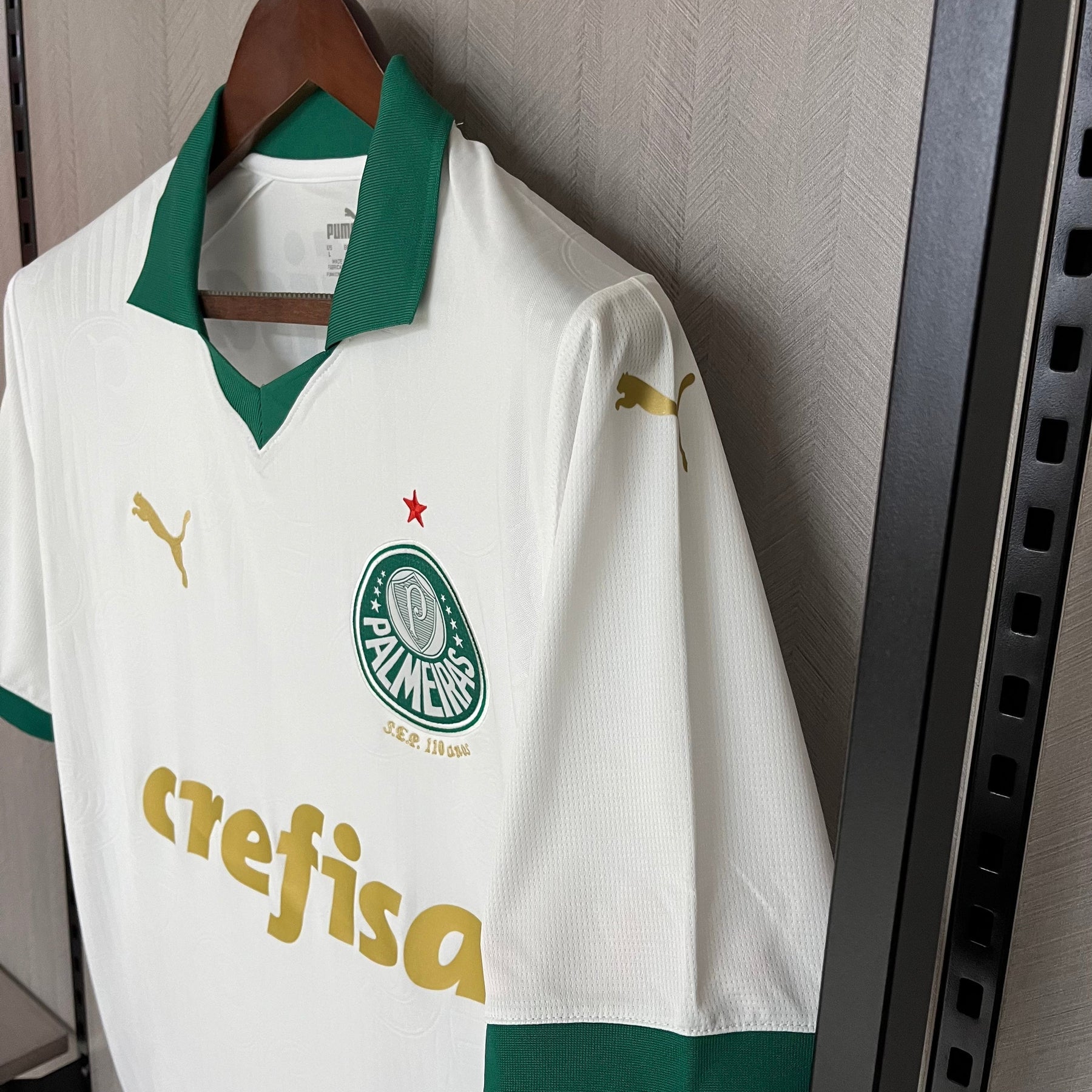 Camisa Palmeiras II 24/25 Puma