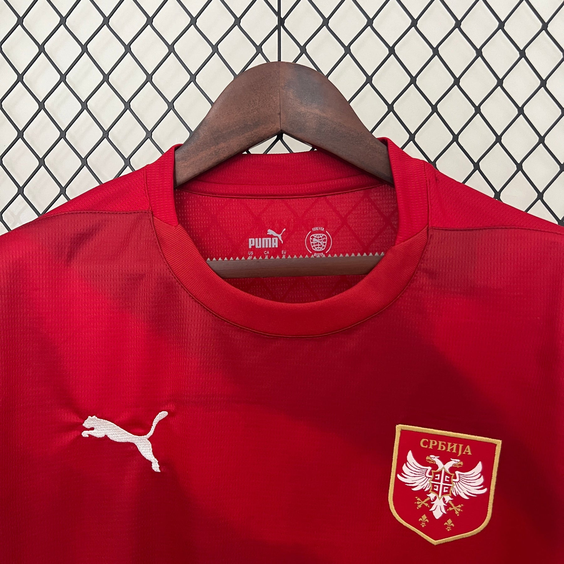 Camisa Seleção da Sérvia Home 24/25 Torcedor Puma Masculina - Vermelha