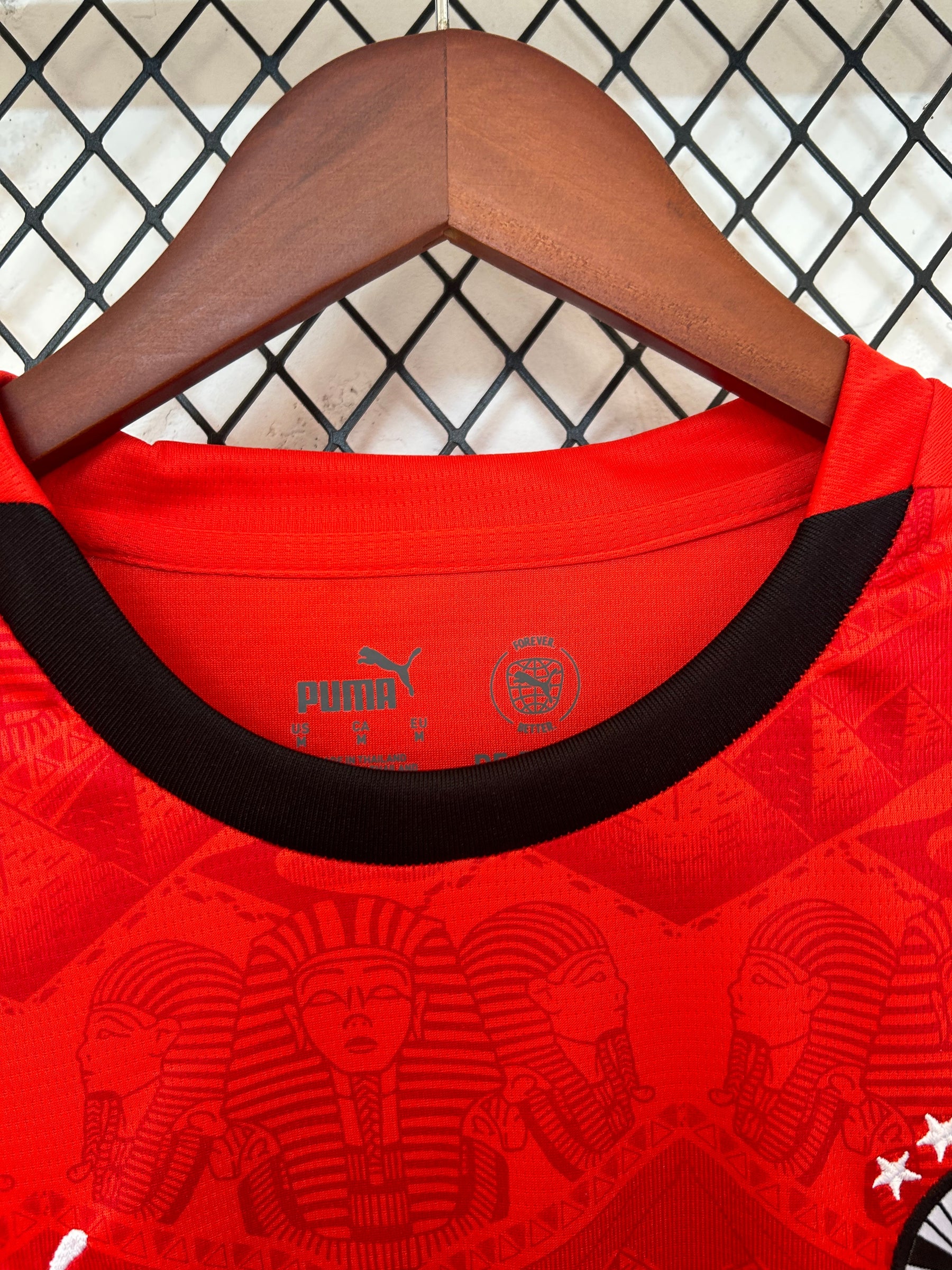 Camisa Seleção do Egito Home 25/26 Torcedor Puma Masculina - Vermelha